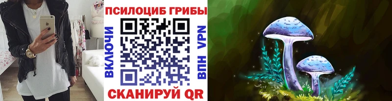 Псилоцибиновые грибы GOLDEN TEACHER  KRAKEN зеркало  Петрозаводск  купить наркотик 
